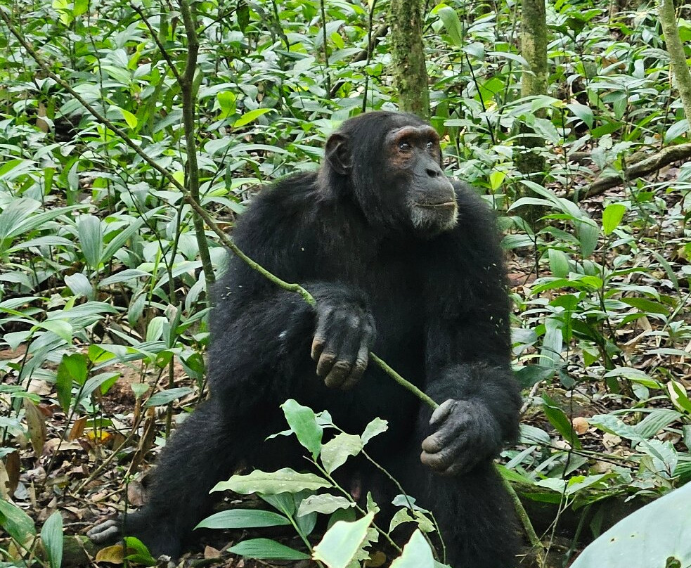 Grassrootz Adventures Uganda-坎帕拉必去景点