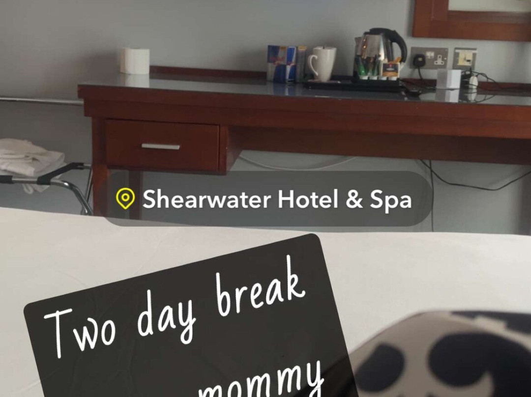 卡尔顿海鸥酒店主图