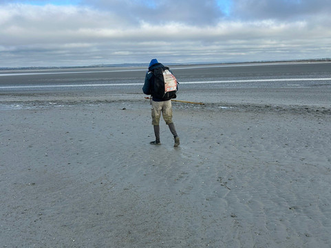 Découverte de la Baie du Mont Saint Michel-Genets必去景点