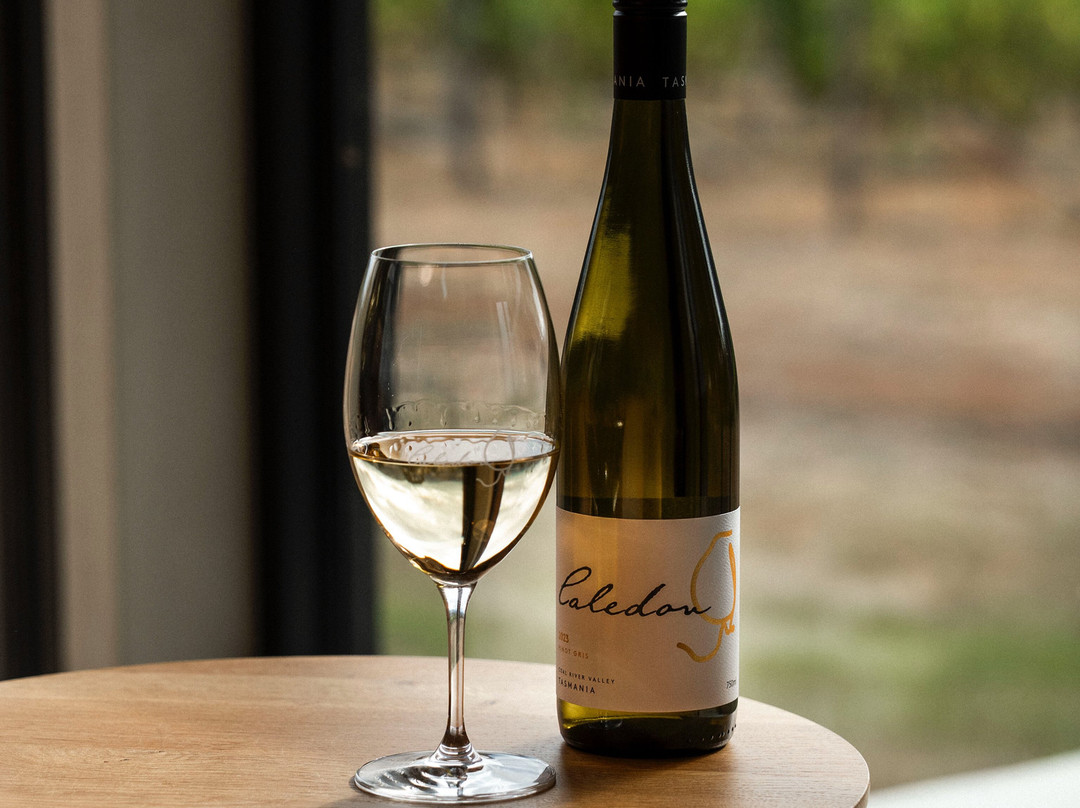 Caledon Estate Vineyard-Richmond必去景点