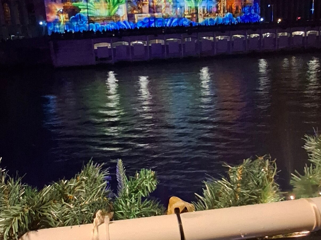 Les Bateaux Lyonnais-里昂必去景点