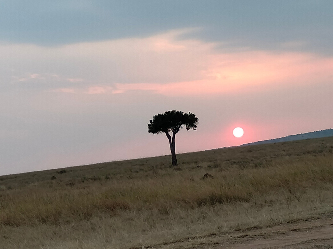 Wildlife Trips Safaris-纳罗克必去景点