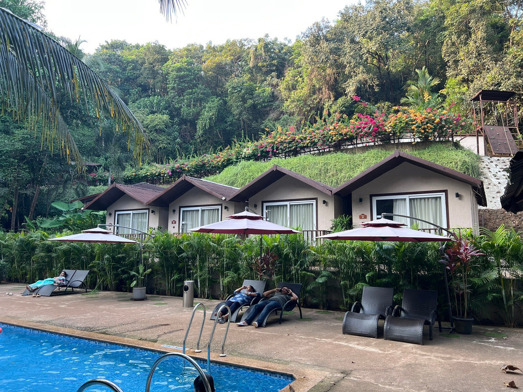 Stone Wood Premier Gokarna主图