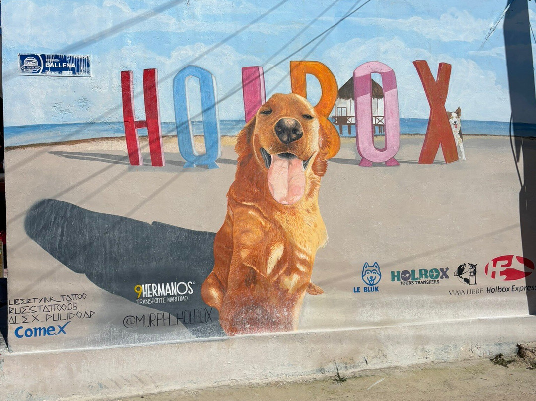 Isla Holbox-Holbox Island必去景点