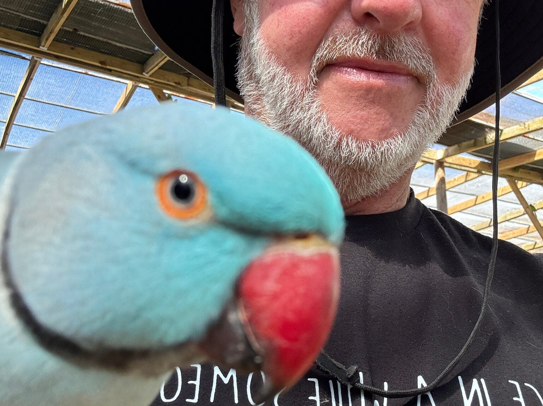 Parotte Ville Bird Sanctuary-圣马丁岛必去景点