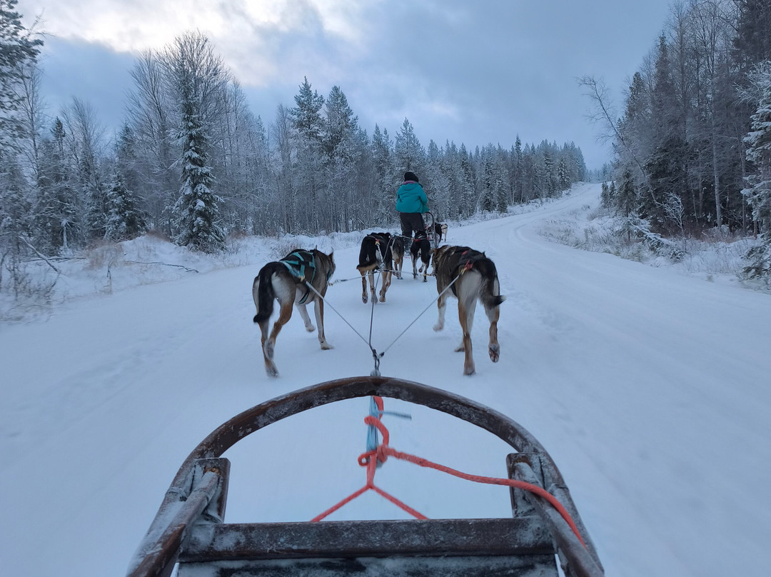 Lappitrek-Kittilä必去景点