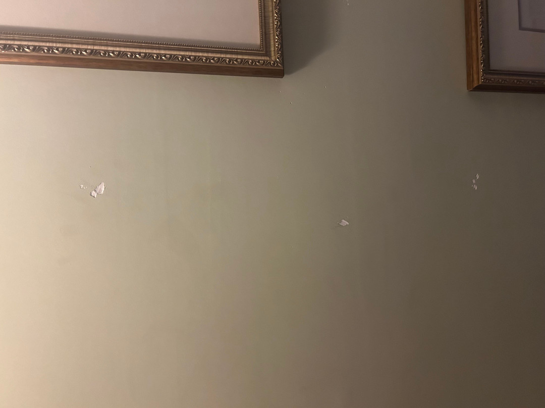 Inn at Jackson主图