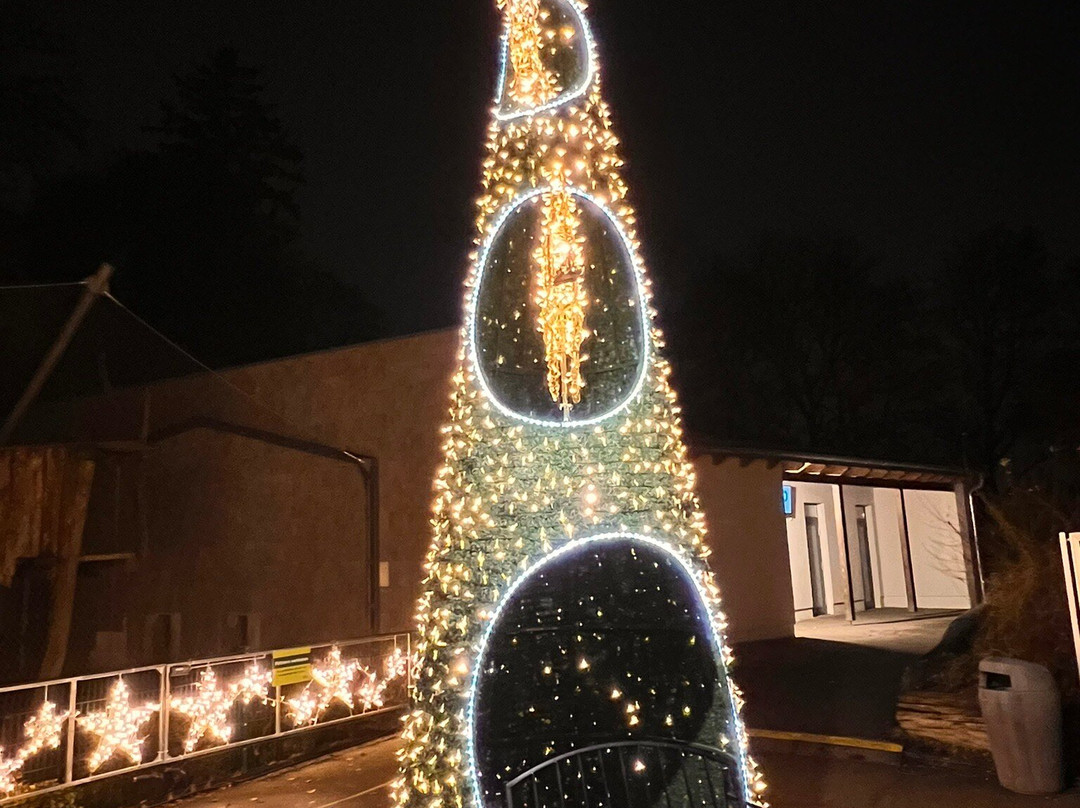 Augsburg Zoo-奥格斯堡必去景点