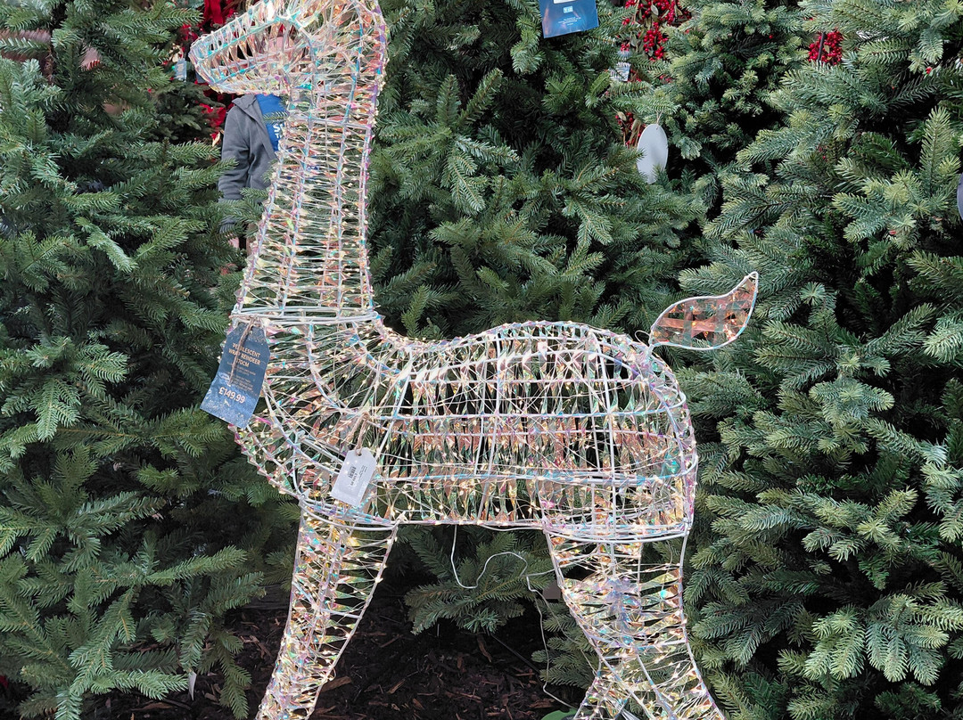 Sanders Garden Centre-Brent Knoll必去景点