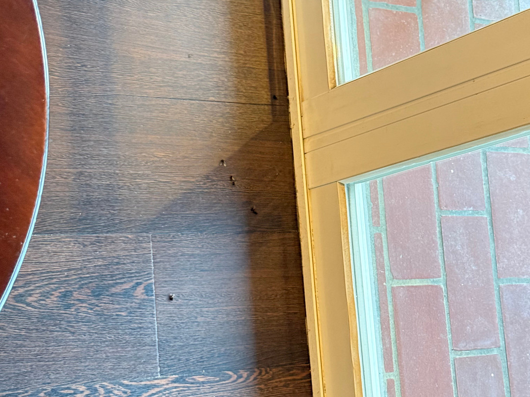 卡兰巴卡阿玛利亚酒店主图