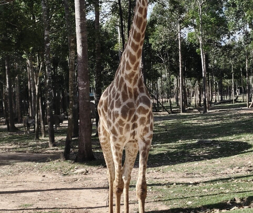 Amega Tour and general trading company limited-河内必去景点