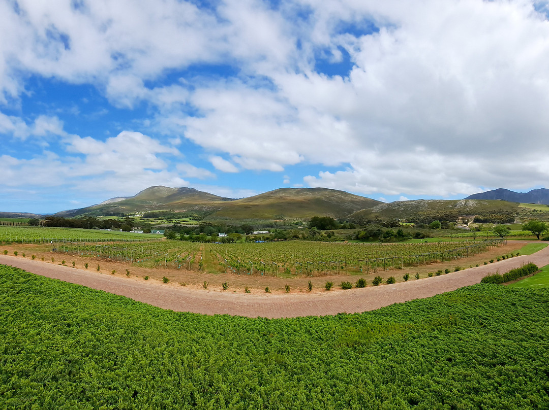 Bouchard Finlayson Winery-赫曼努斯必去景点