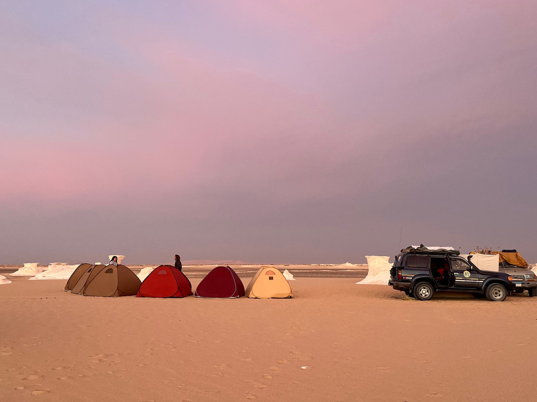 Jimmy Egypt Safari-Bawiti必去景点