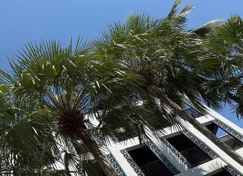 阿瓦度假酒店-泳池