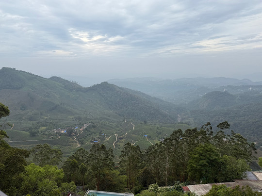 Fragrant Nature Munnar主图