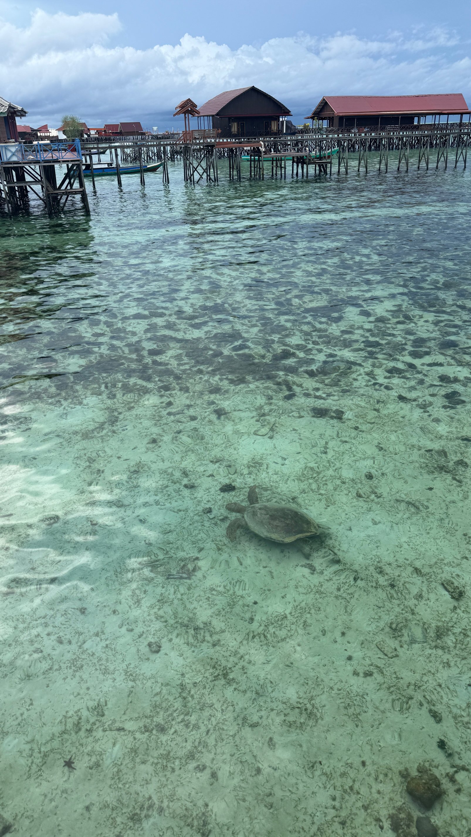 Scuba Junkie Sangalaki-酒店景观