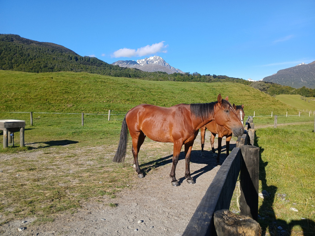 High Country Horse Adventures Lake Coleridge-基督城必去景点