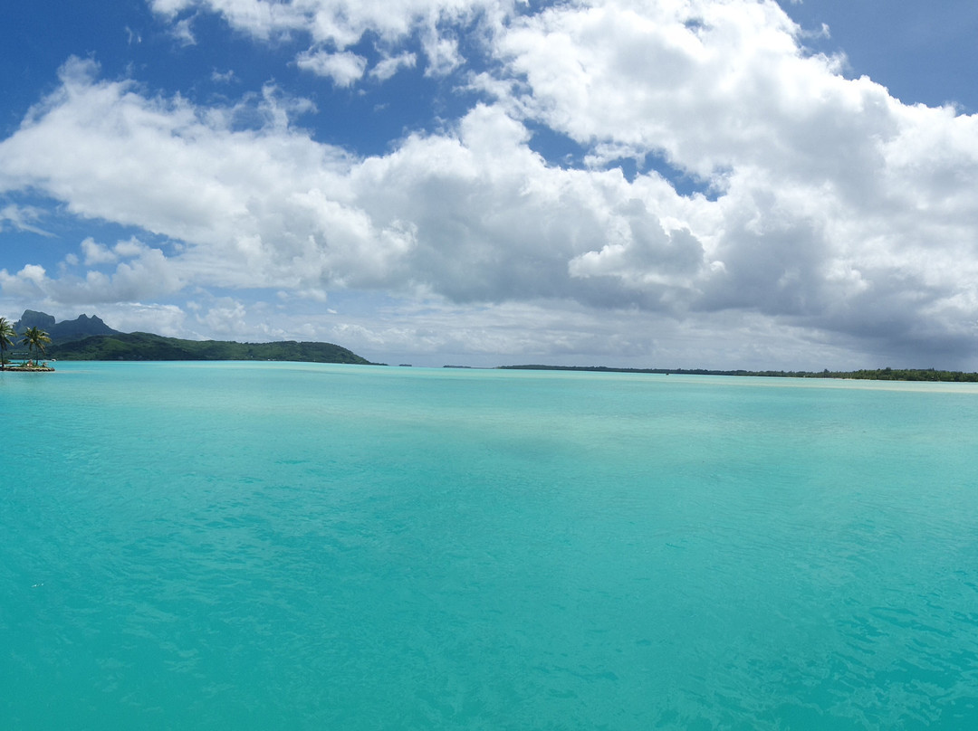 Bora Bora Lagoonarium-瓦伊塔佩必去景点