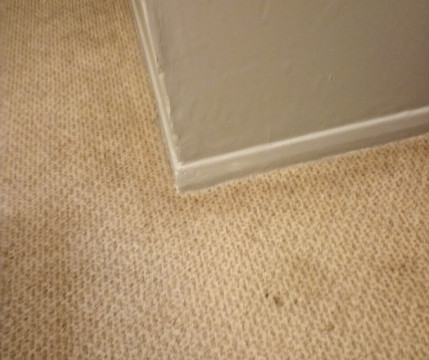 The Tor Park Hotel主图