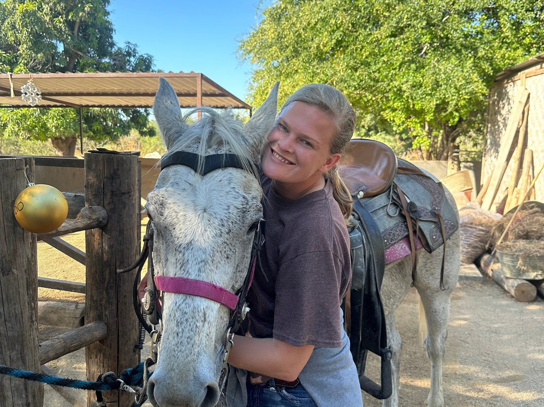 Rancho Animas-Animas Bajas必去景点