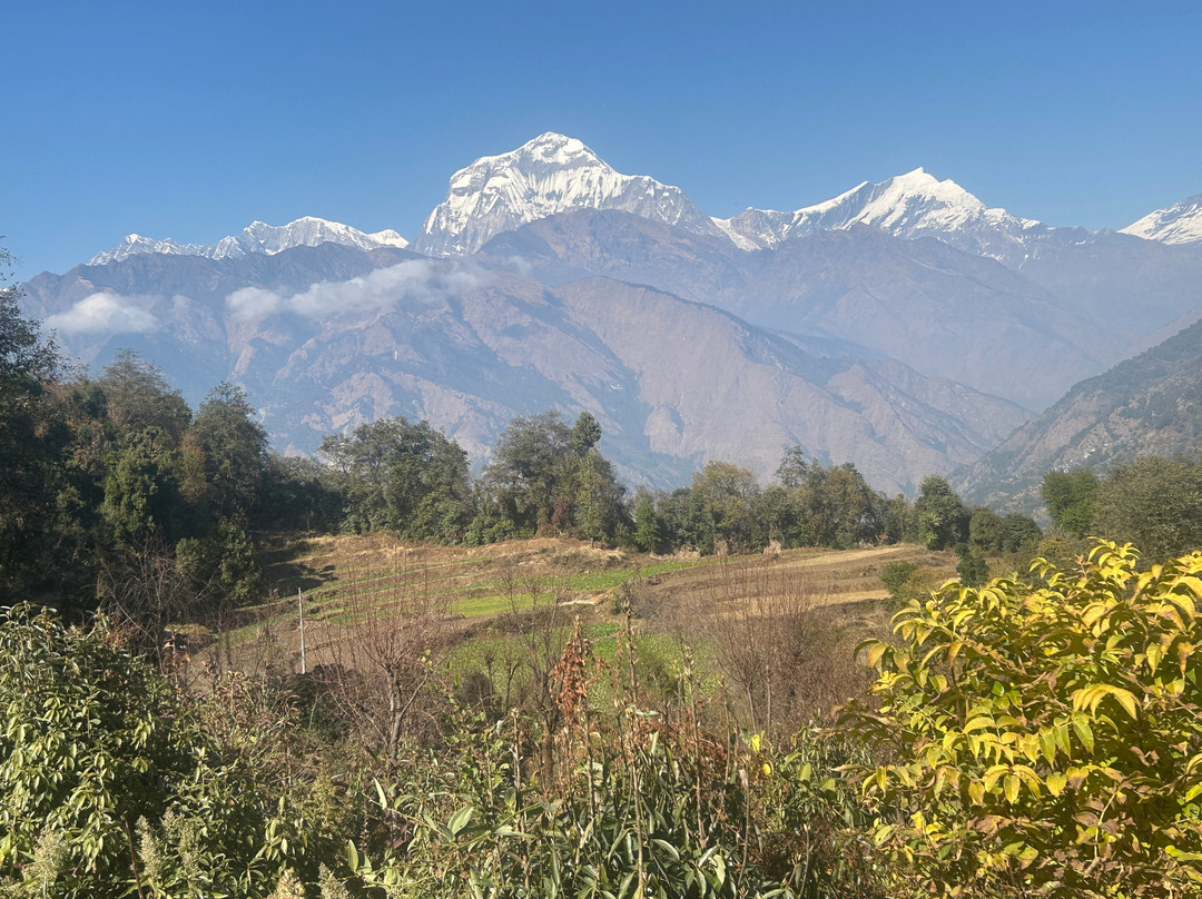 Mardi Himal Treks & Expedition-博卡拉必去景点