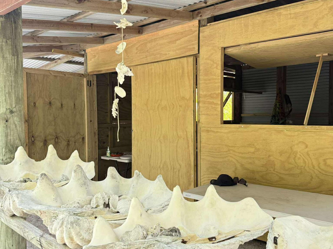 Kia Orana Cruises-Amuri必去景点