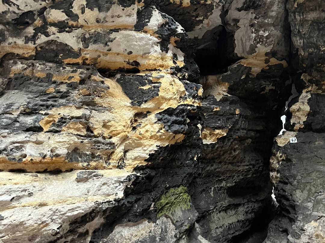 Northern Hikes-布拉格必去景点