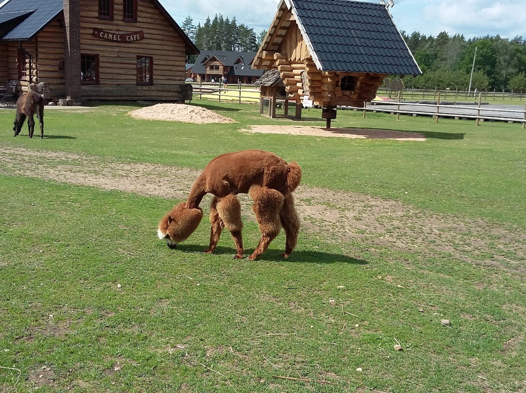Recreation Complex Raksi-Amatas Novads必去景点