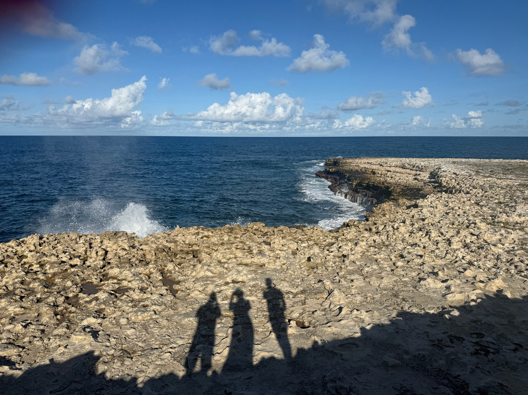 Brinks Transportation Services-Osbourn必去景点