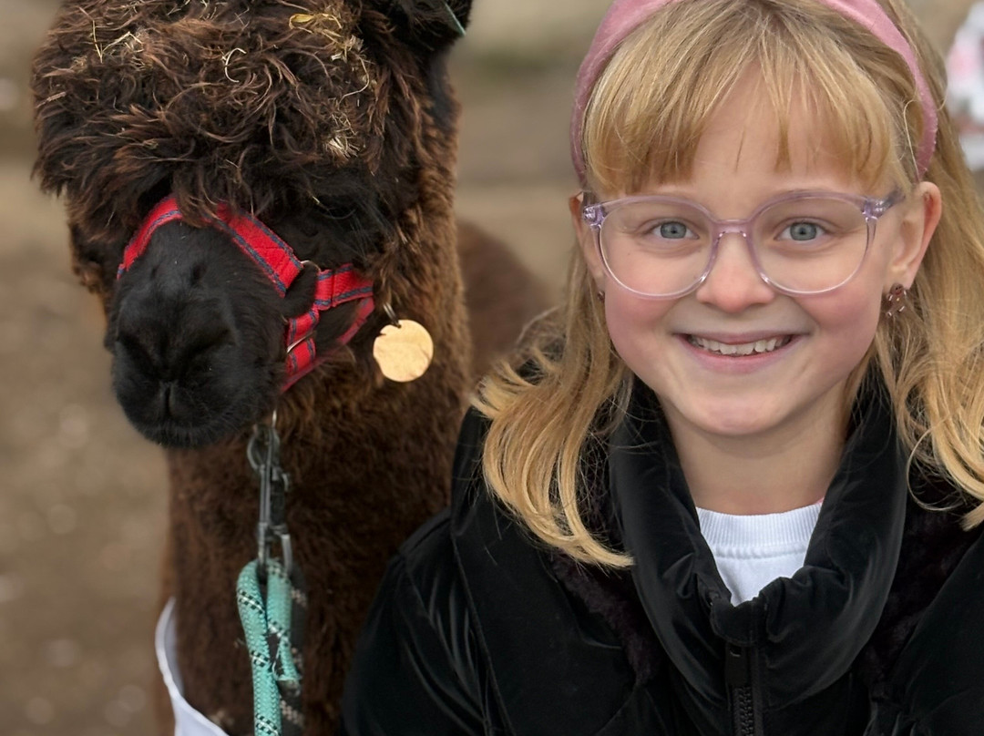 Charnwood Forest Alpacas-Boundary必去景点