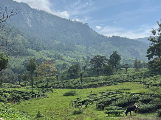 Indian Rides-斋蒲尔必去景点