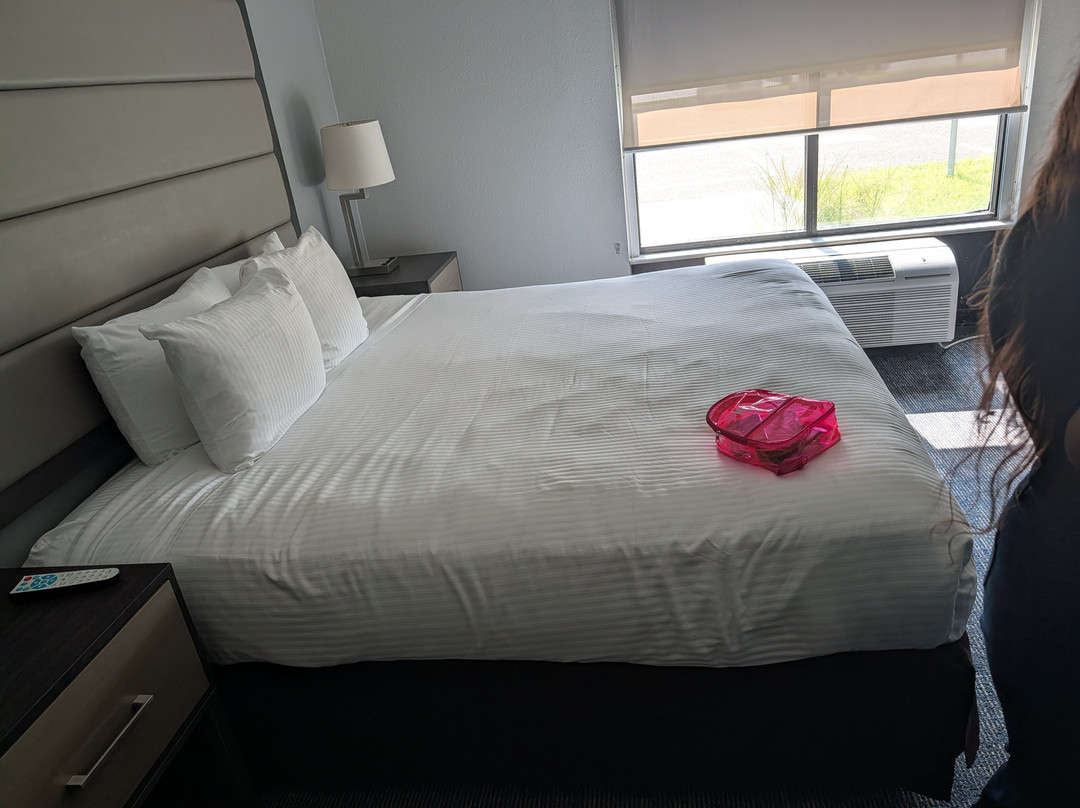 Best Western Plus Mcallen Airport Hotel主图