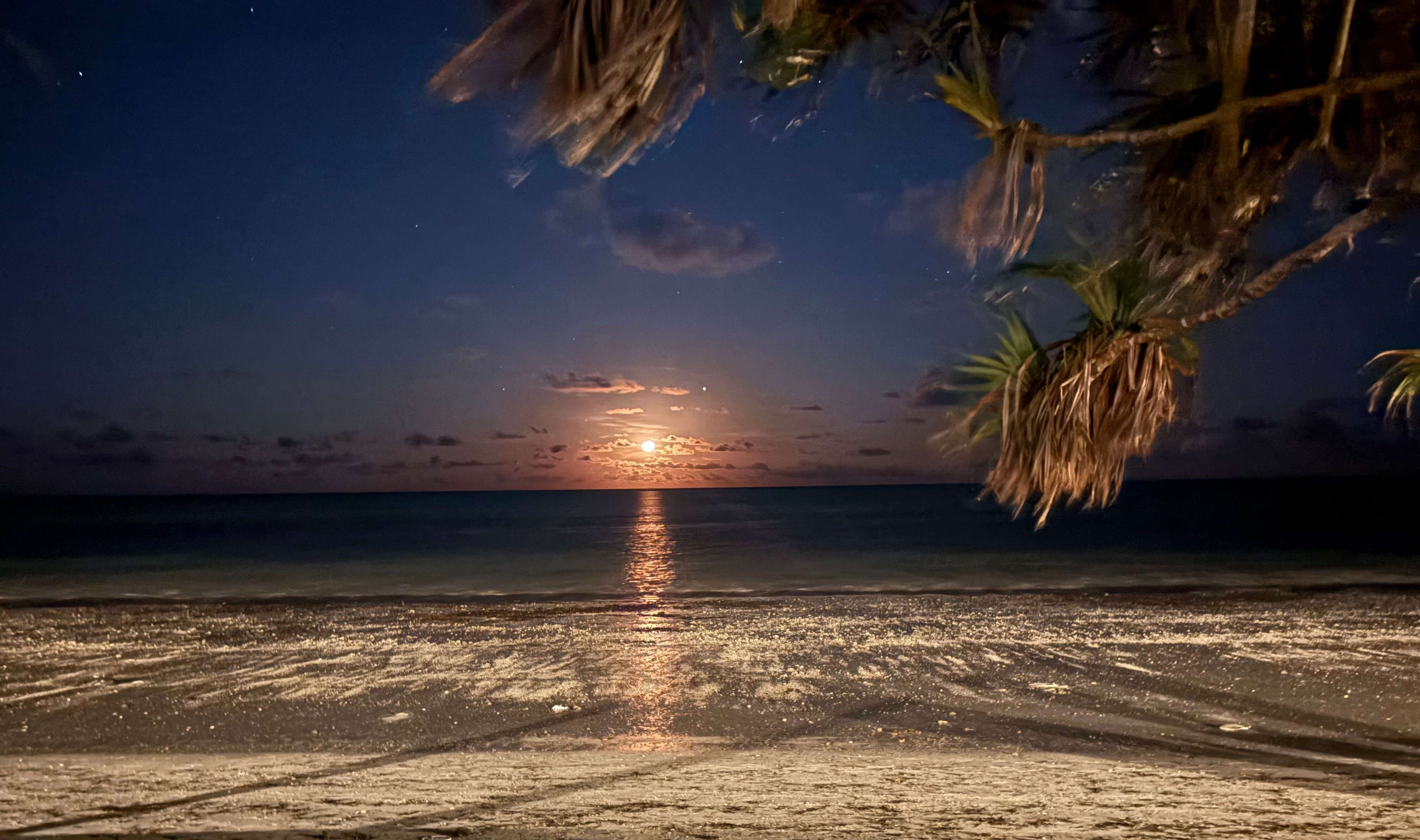 Neptune Pwani Beach Resort - Spa-泳池