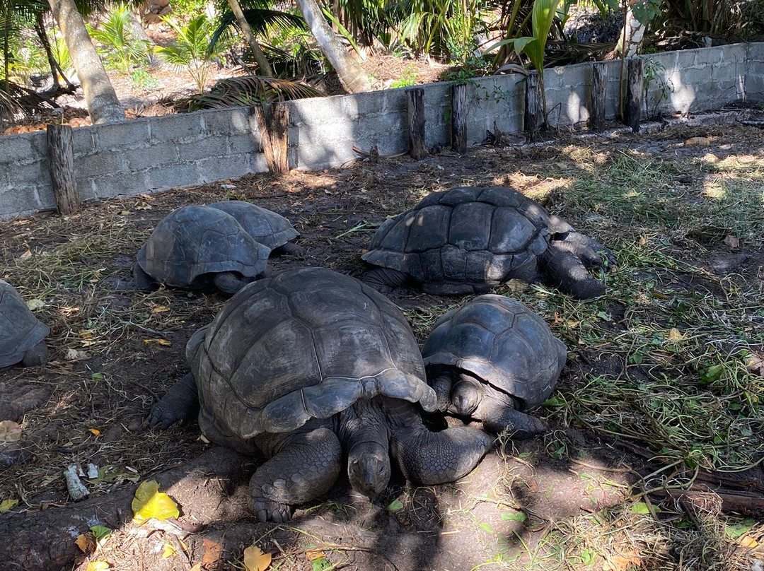 Mason's Travel-维多利亚必去景点