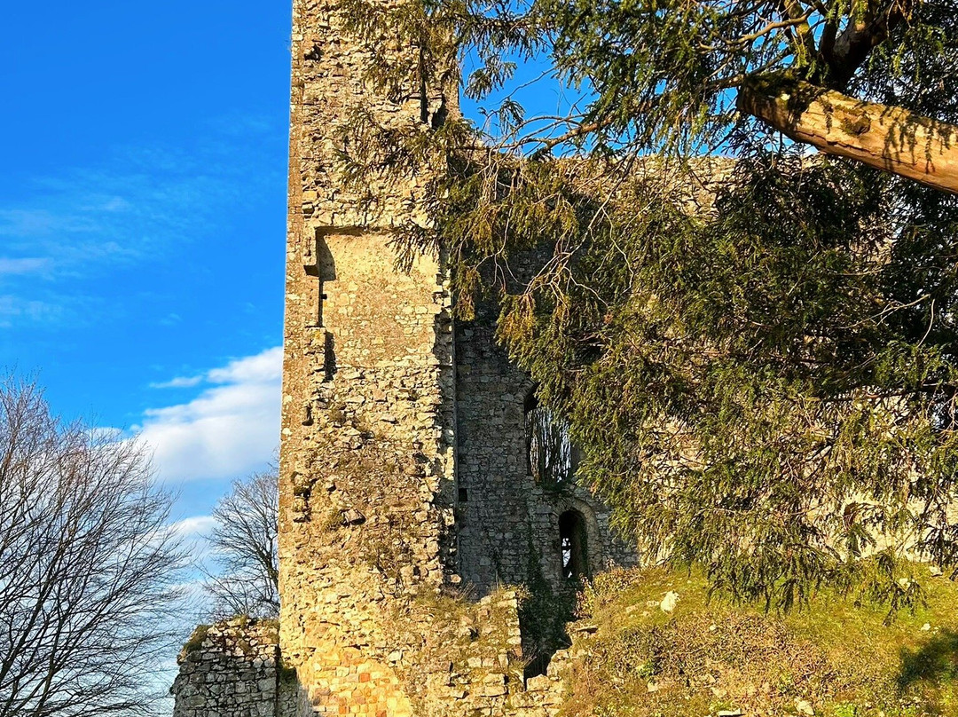 Chateau de Domfront-Domfront必去景点