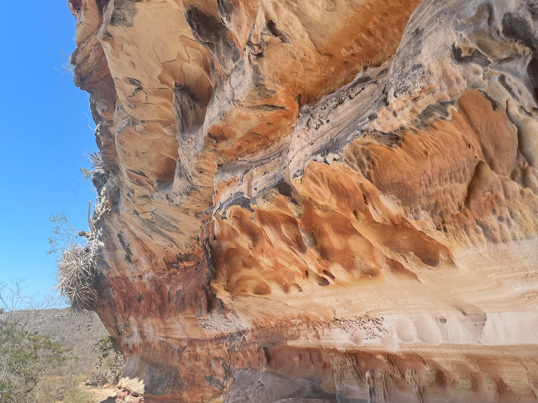 Jk Turismos PE-累西腓必去景点