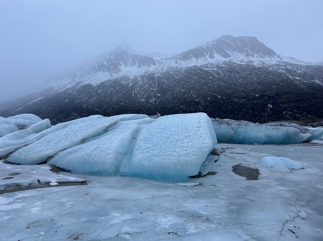 Alaska Backcountry Adventure Tours-帕尔默必去景点