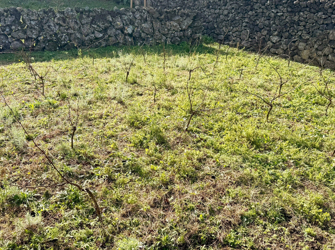 Materramenta - Experiências-Biscoitos必去景点