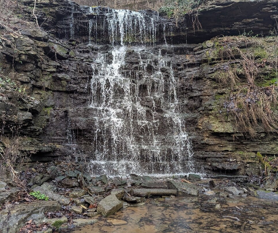 Cove Springs Park-法兰克福必去景点