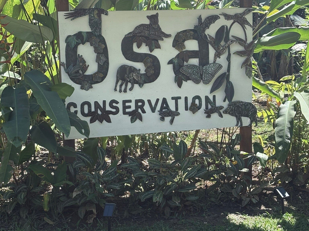 Osa Conservation Campus-希门尼斯港必去景点