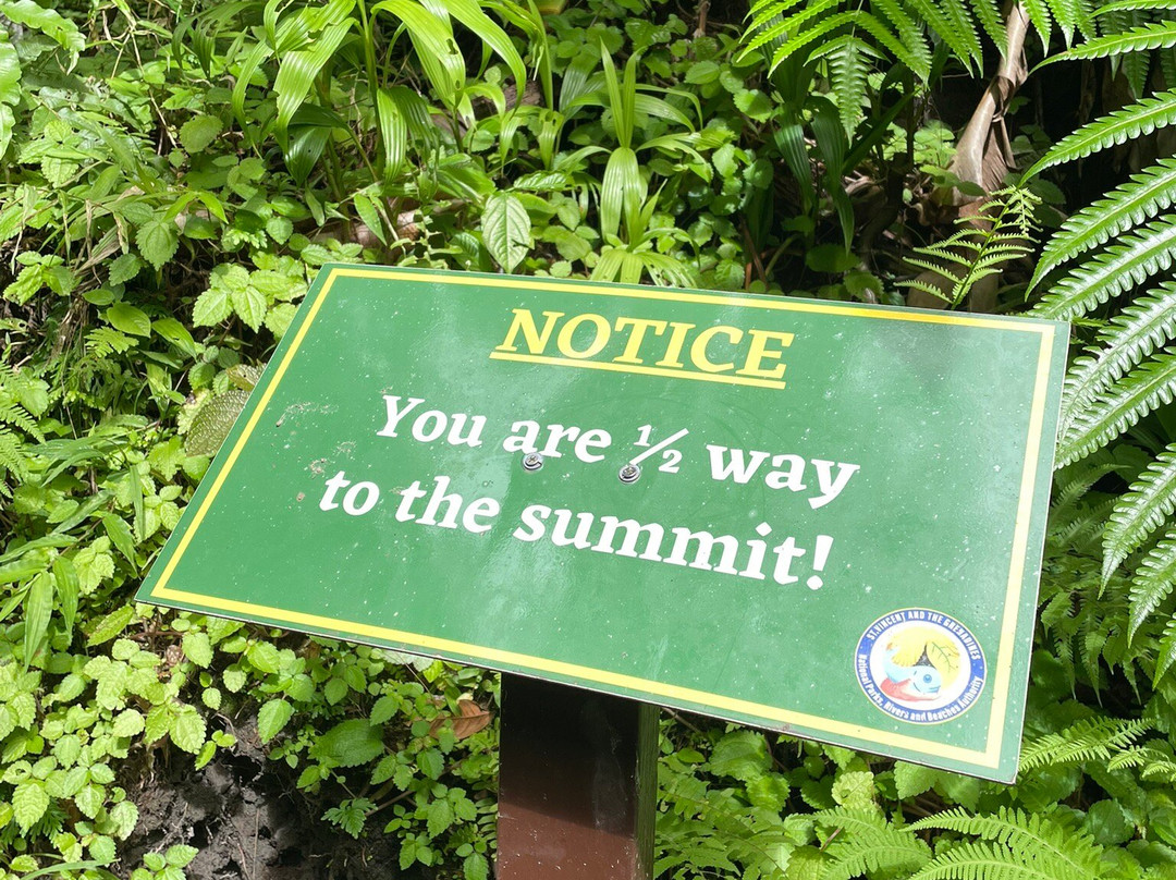 La Soufriere Volcano-Saint-Claude必去景点