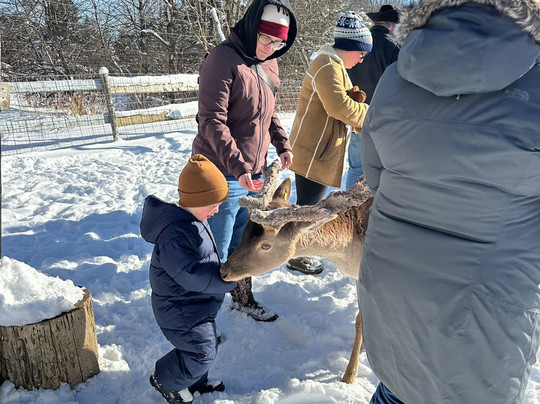 Vermont Reindeer Farm-Orleans必去景点