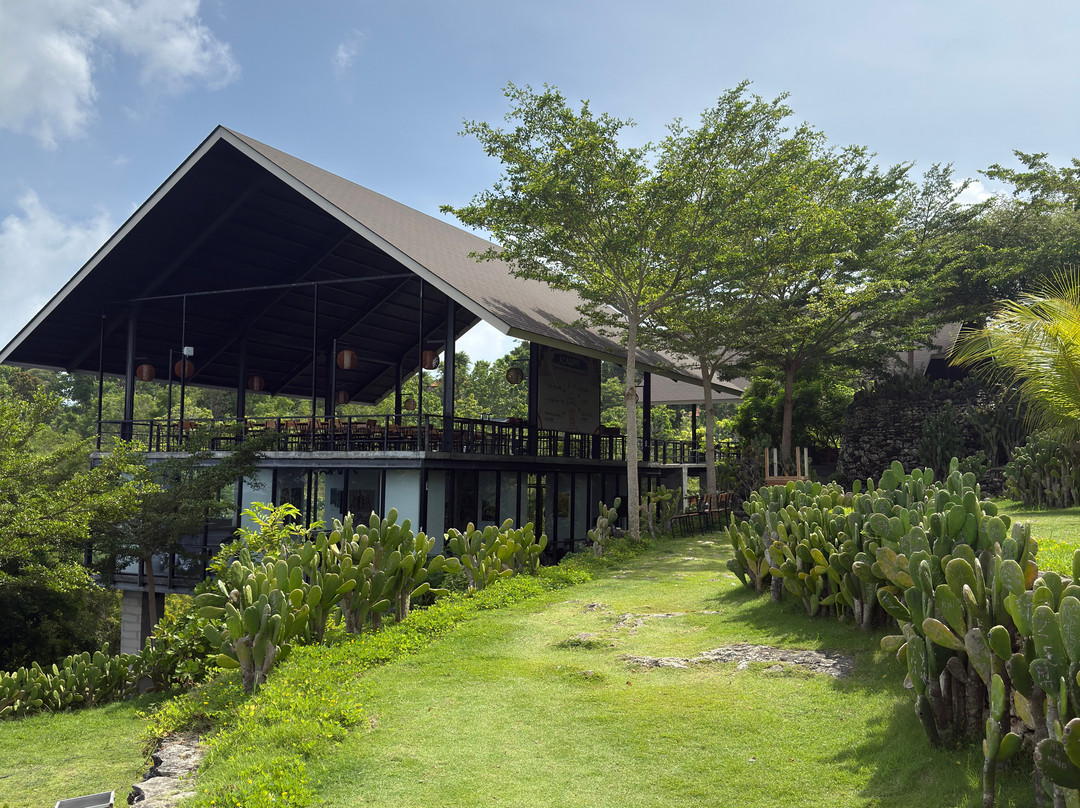 INDO COMPASS BALI-珀尼达岛必去景点