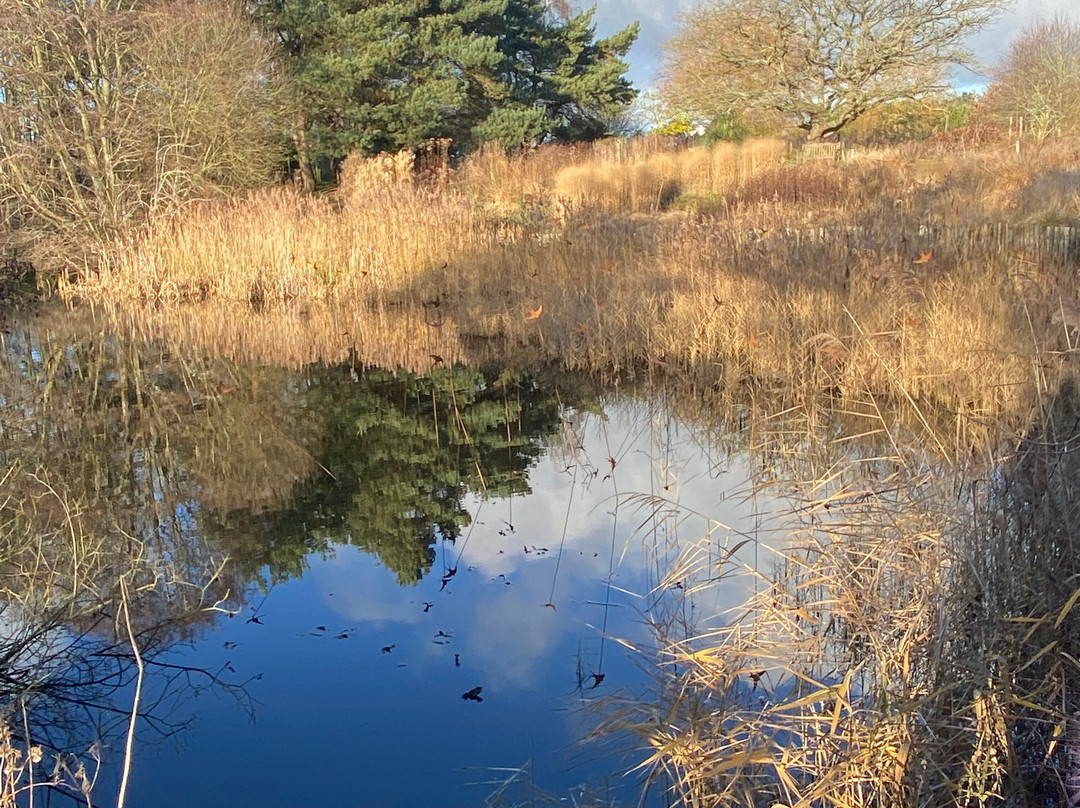Pensthorpe-Fakenham必去景点