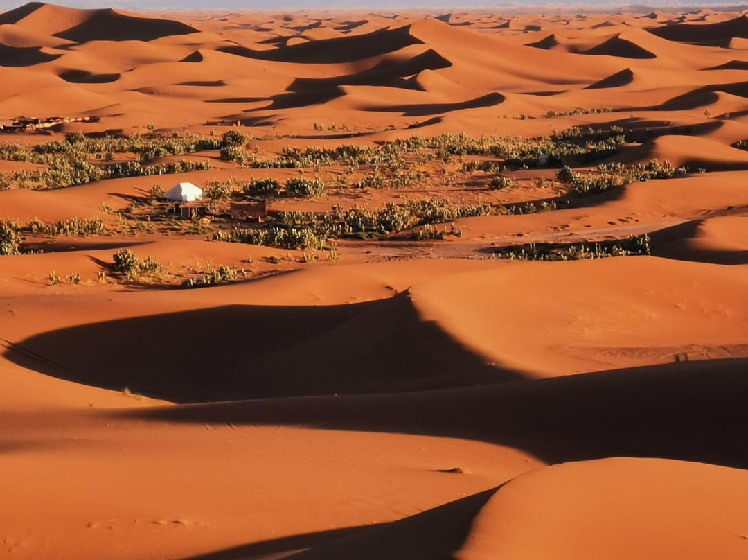 Top Dessert Tours-马拉喀什必去景点