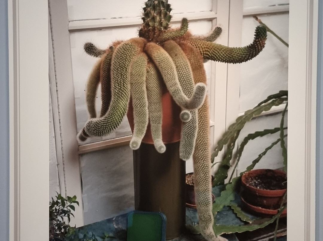 Nouveau Musée National De Monaco-蒙特卡洛必去景点