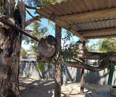 Glen-Forest Tourist Park & Vineyard-Port Lincoln必去景点