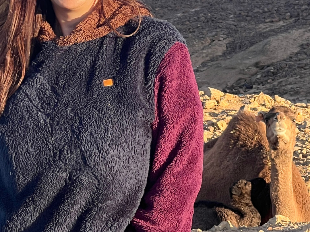 Redouane Sahara Tours-伊拉悉迪亚必去景点