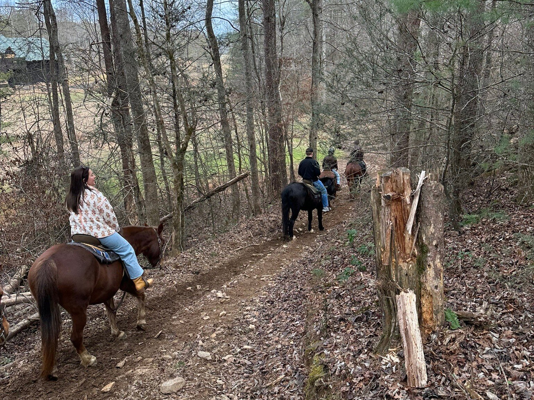 Appalachian Trail Rides-Mineral Bluff必去景点