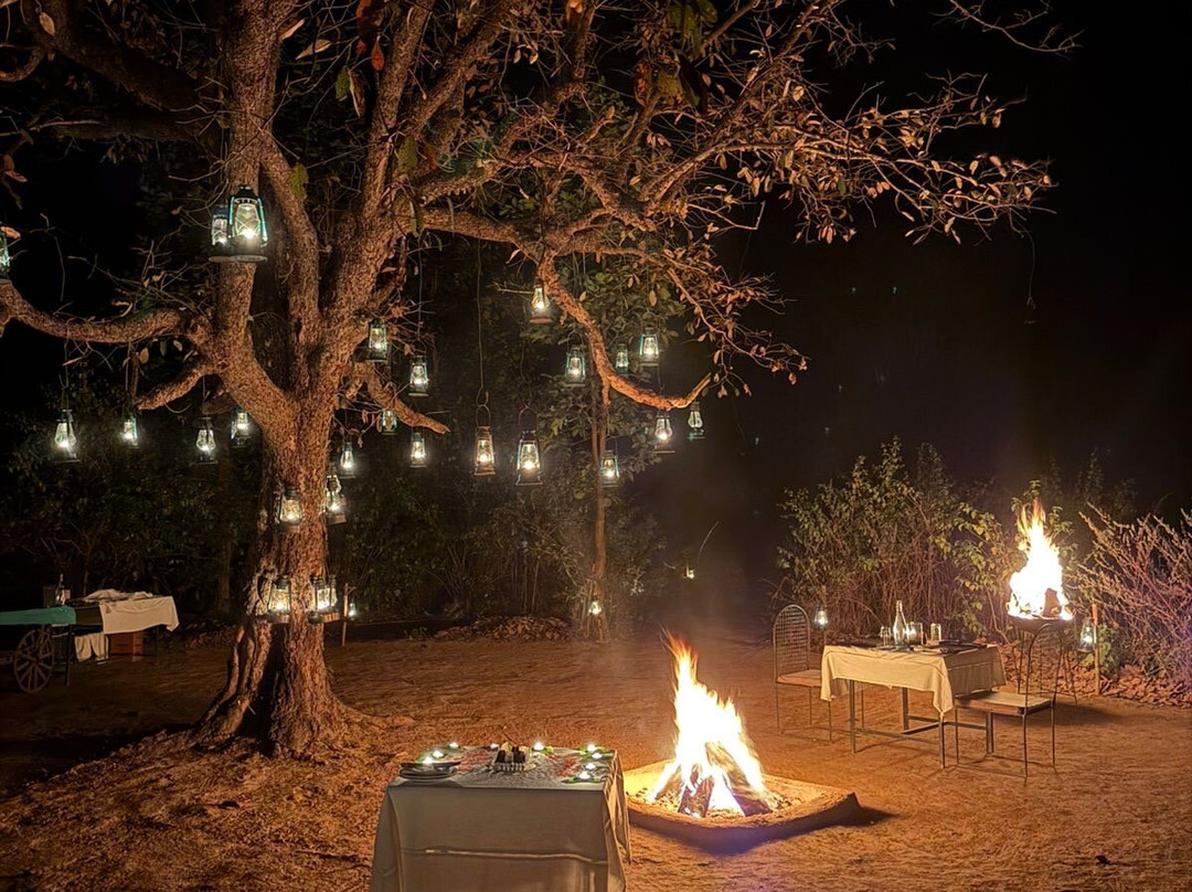 Banjaar Tola - A Taj Safari - Kanha National Park主图